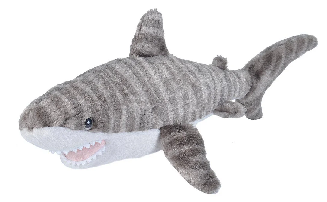 cedarburgtoyco1921266