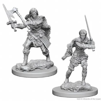 hobbyrising-2082585