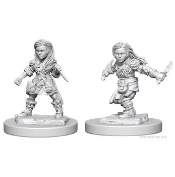 hobbyrising-2082598