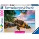 playmatterstoys-1970453