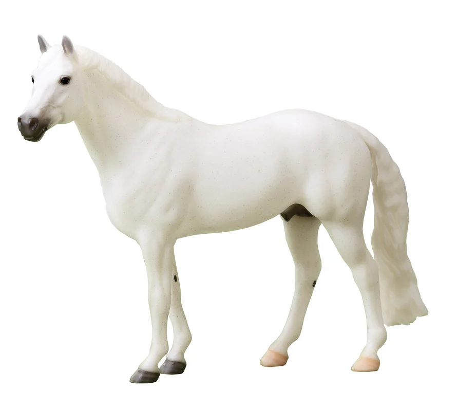 toychestnh1882710