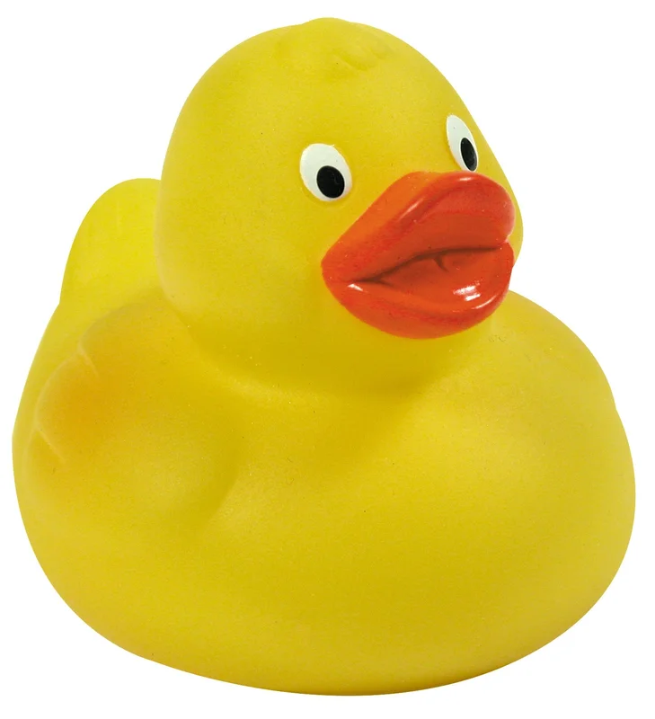 toychestnh1923874