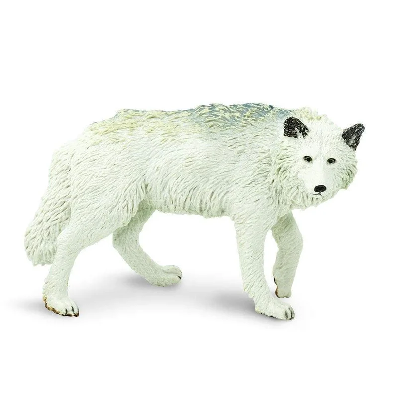 toychestnh1925008