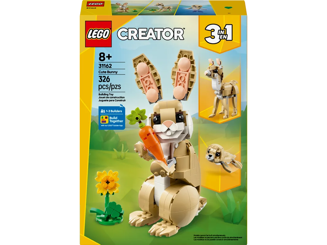 toychestnh1950425