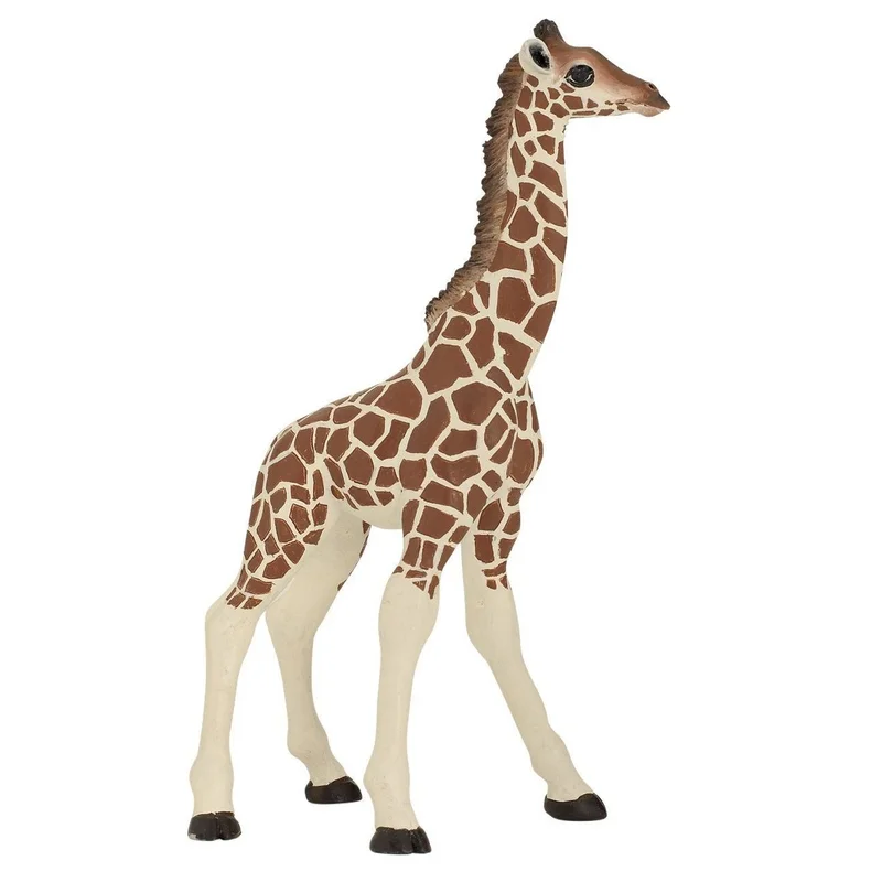 toysandco-2067161