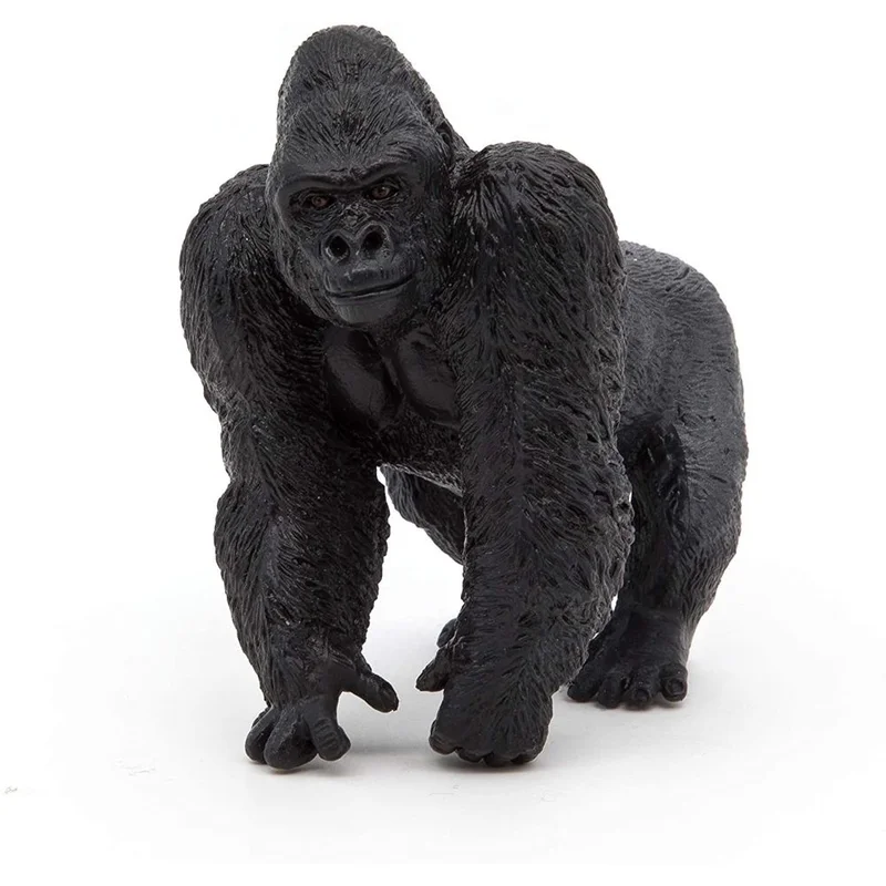 toysandco-2067210