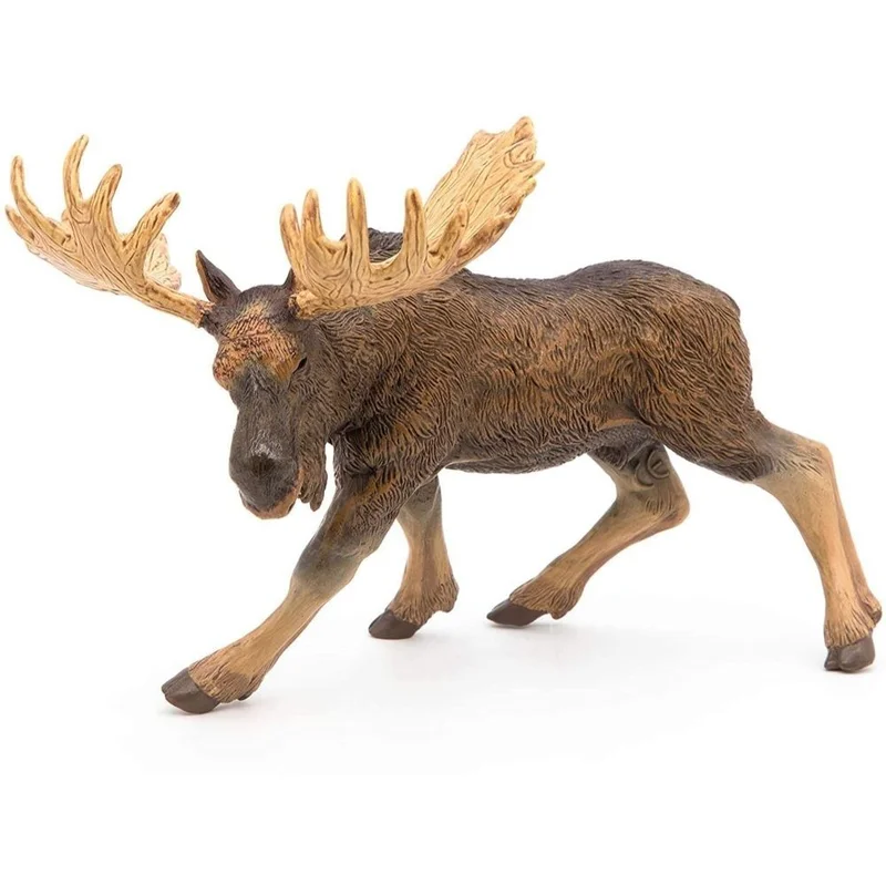 toysandco-2067216