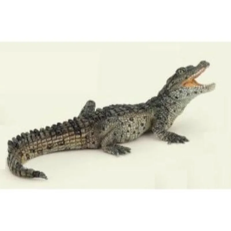 toysandco-2067394