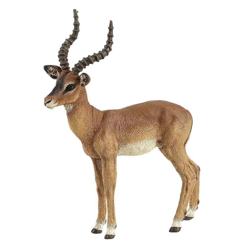 toysandco-2067591