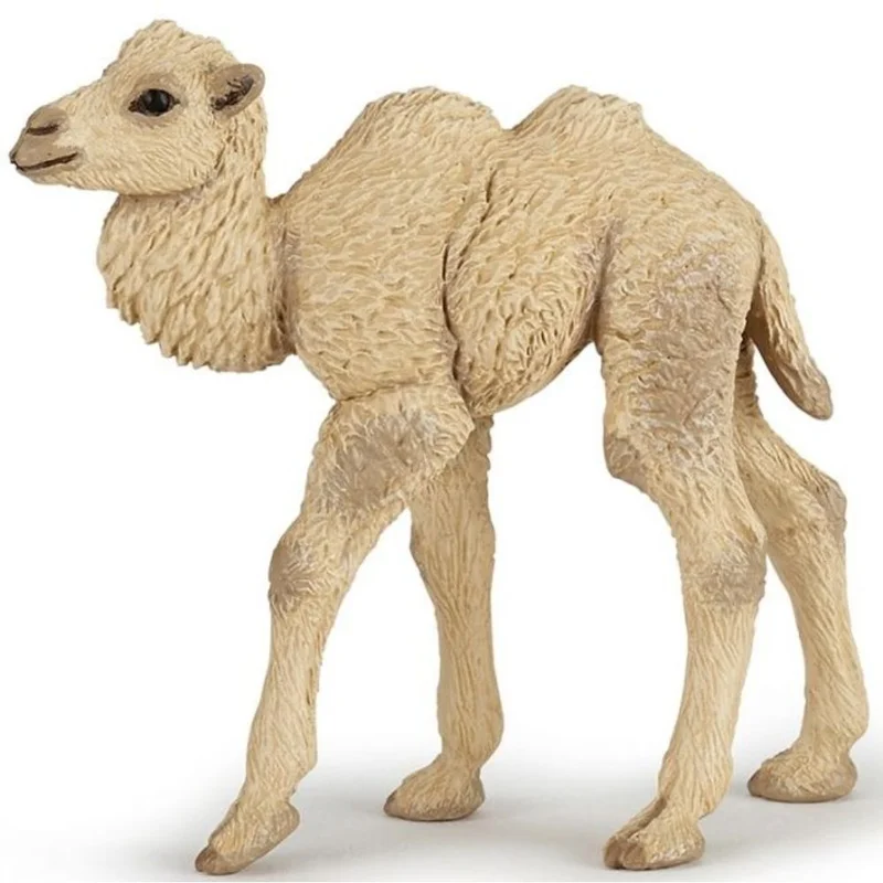 toysandco-2067847