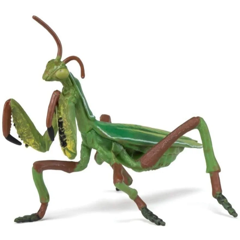 toysandco-2067916