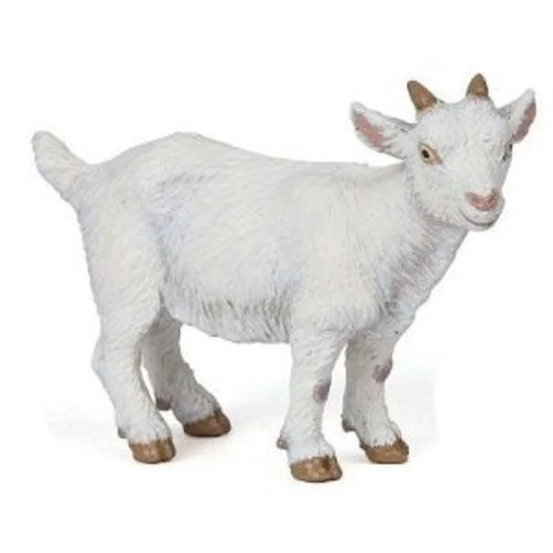 toysandco-2068578