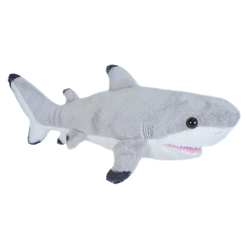 toysandco-2078497