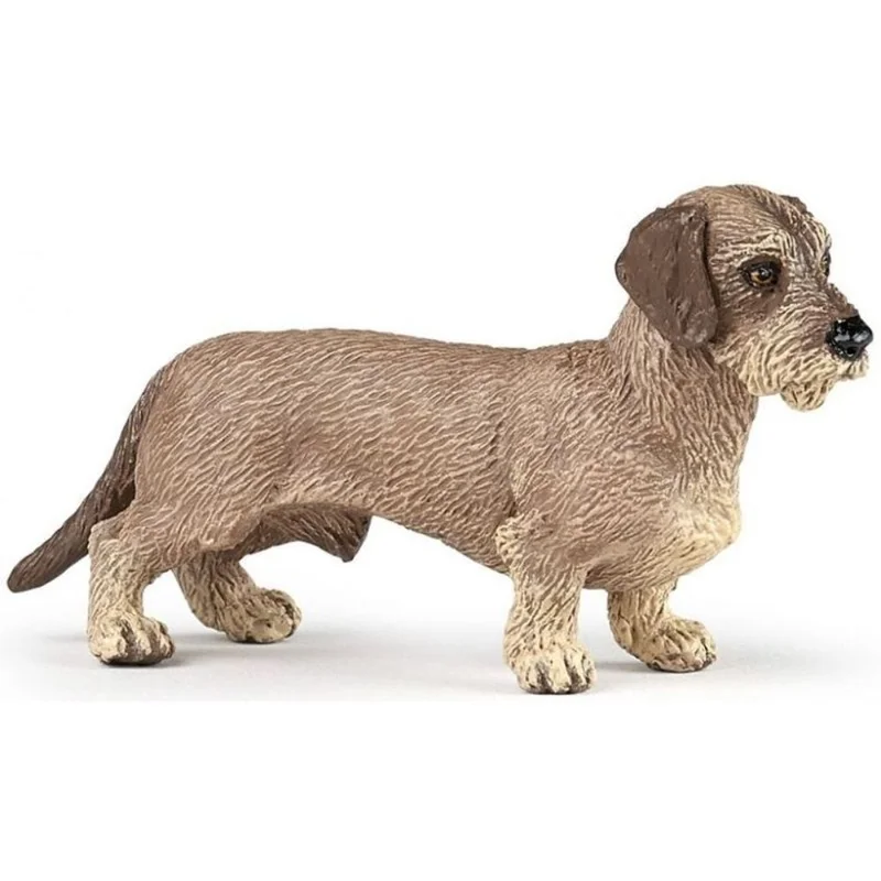 toysandco-2080444