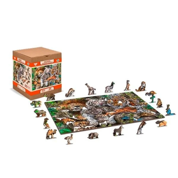 toysandco-2081402