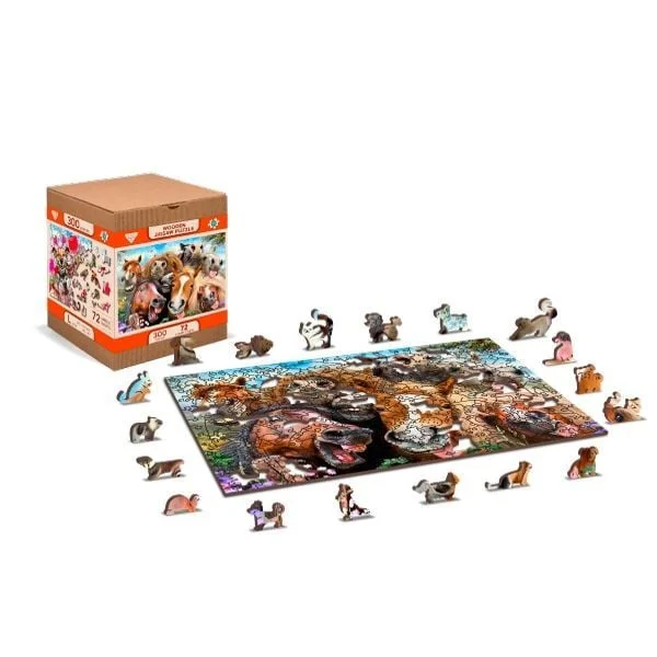 toysandco-2081407
