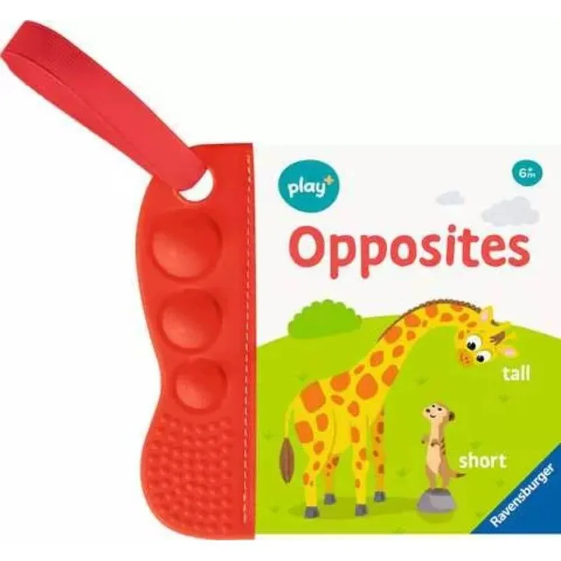 toysandco-2084069