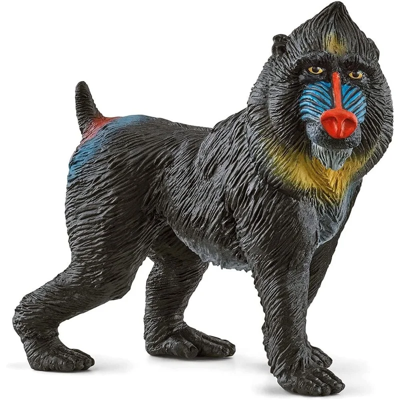 toysandco-2085884