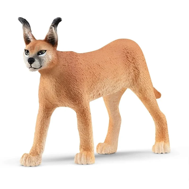 toysandco-2085913
