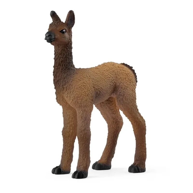 toysandco-2085926