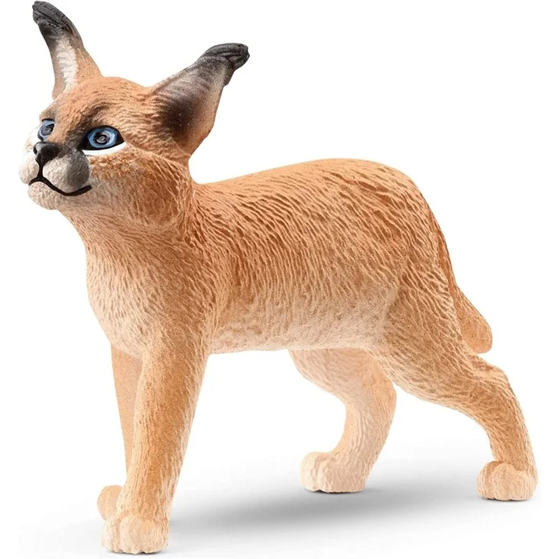 toysandco-2085967