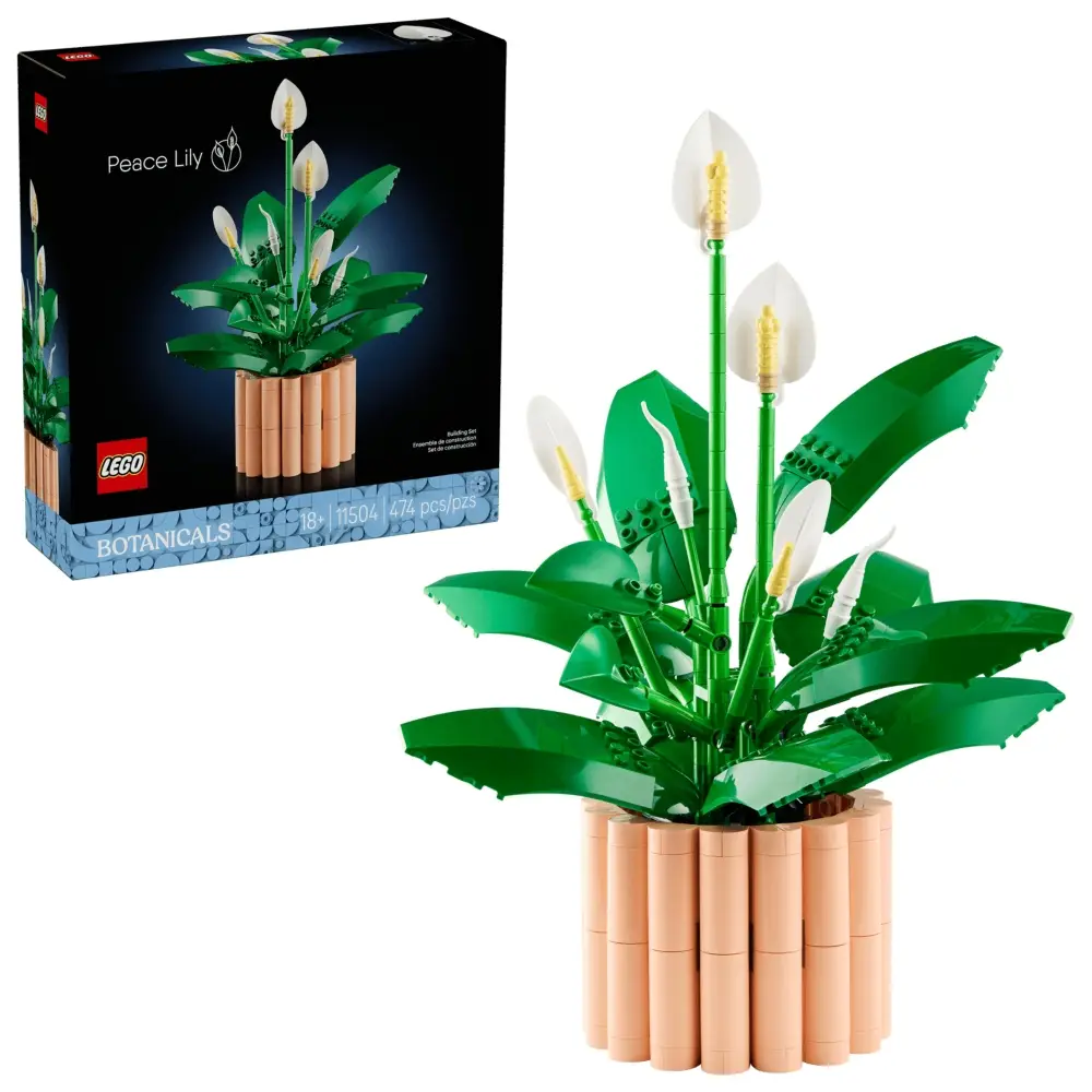 toysandco-2087784