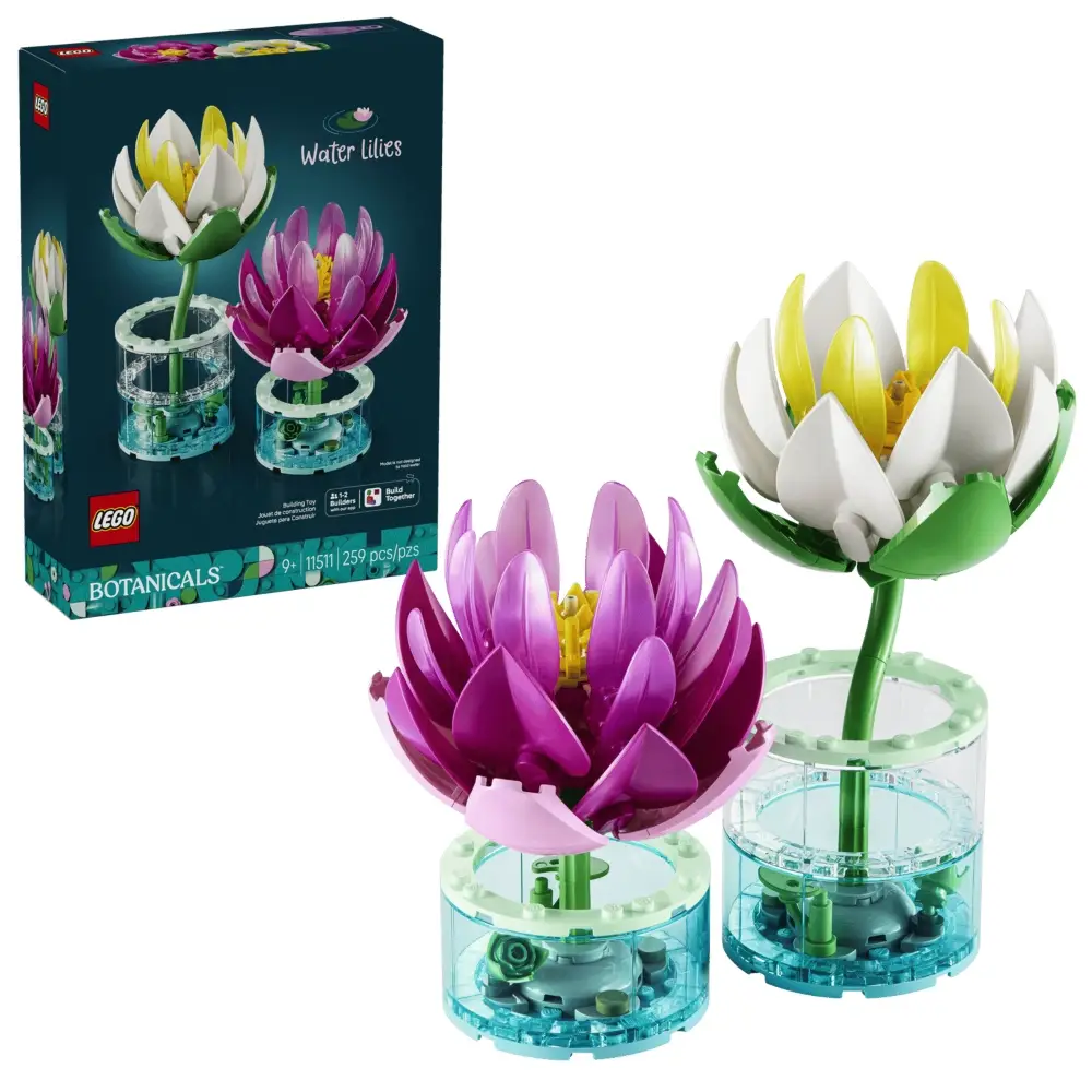 toysandco-2087803