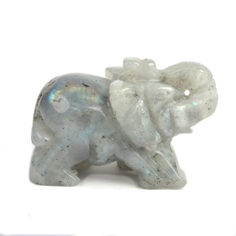 toytooth62222258